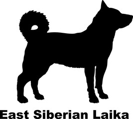 East Siberian Laika dog silhouette dog breeds Animals Pet breeds silhouette