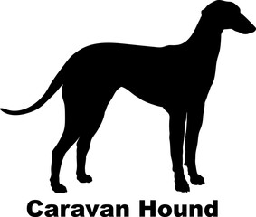 Caravan Hound dog silhouette dog breeds Animals Pet breeds silhouette