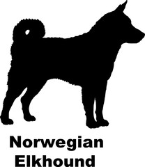 Norwegian Elkhound dog silhouette dog breeds Animals Pet breeds silhouette