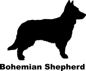 Bohemian Shepherd dog silhouette dog breeds Animals Pet breeds silhouette
