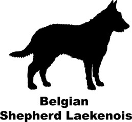 Belgian Shepherd Laekenois dog silhouette dog breeds Animals Pet breeds silhouette