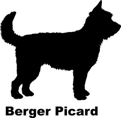 Berger Picard dog silhouette dog breeds Animals Pet breeds silhouette