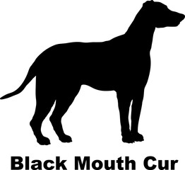 Black Mouth Cur dog silhouette dog breeds Animals Pet breeds silhouette