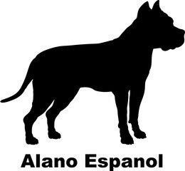 Alano Espanol dog silhouette dog breeds Animals Pet breeds silhouette