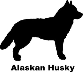 Alaskan Husky dog silhouette dog breeds Animals Pet breeds silhouette