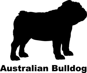 Australian Bulldog dog silhouette dog breeds Animals Pet breeds silhouette