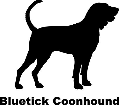 Bluetick Coonhound dog silhouette dog breeds Animals Pet breeds silhouette