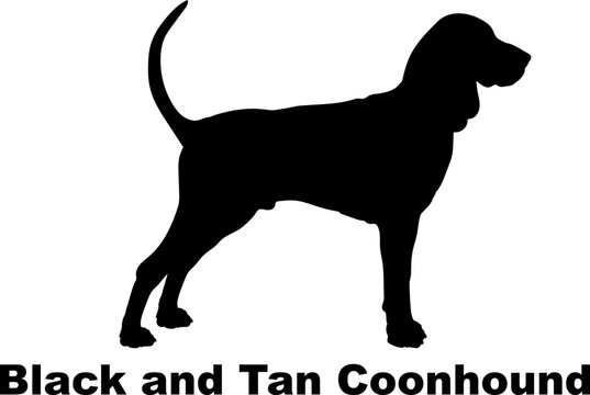 Black and Tan Coonhound dog silhouette dog breeds Animals Pet breeds silhouette