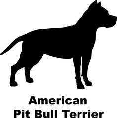 American Pit Bull Terrier dog silhouette dog breeds Animals Pet breeds silhouette