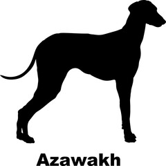 Azawakh dog silhouette dog breeds Animals Pet breeds silhouette
