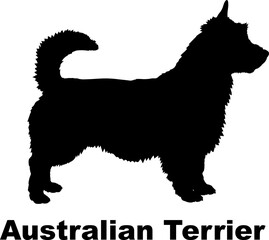 Australian Terrier. dog silhouette dog breeds Animals Pet breeds silhouette