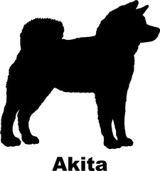 Akita dog silhouette dog breeds Animals Pet breeds silhouette