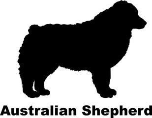 Fototapeta na wymiar Australian Shepherd dog silhouette dog breeds Animals Pet breeds silhouette