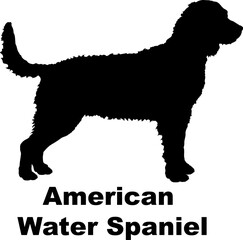 American Water Spaniel dog silhouette dog breeds Animals Pet breeds silhouette