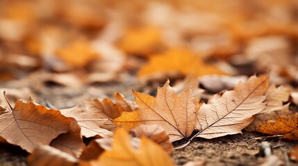 Artistic close-up of fallen leaves forming a natural pattern on the ground, providing a warm backdrop for customizable text. AI generated.
