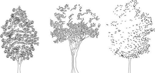 Vector sketch of tree and plant design illustration front view for plan design
