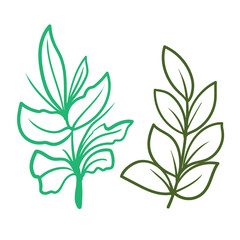 Set of floral branch. Flower rose, leaves. Wedding concept. Collection flowers for invite. Vector arrangements for greeting card or invitation design