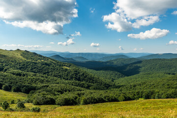 Fototapeta na wymiar Wilderness and scenic nature and alpine landscape at summer in Bieszczady Mountains, Carpathians, Poland.