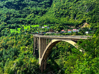 Montenegro's natural beauty portrays a bridge that gracefully spans the landscape and is enveloped by lush, vibrant greenery.