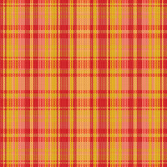 Tartan or plaid winter color pattern.