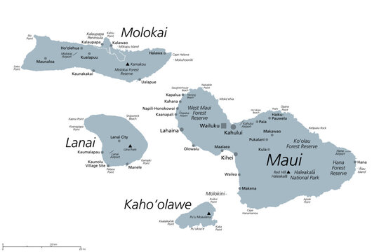 Maui County in the U.S. state Hawaii, gray political map with Wailuku as seat. Consisting of islands of Maui, Lanai, Molokai, Kahoolawe and Molokini. With Kalawao County on the north coast of Molokai.