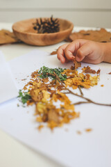 Children's creative activities, autumn idea