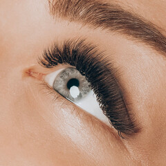 Macro shot of female green eye with 2d 3d 4d volume long false lashes. Young woman with perfect eyes cat shape and beautiful black eyelash extensions. Closeup beauty photo of lash extension