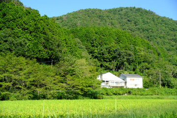 ２０２３年夏　京都府亀岡市　農村風景