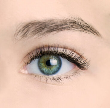 Macro shot of female green eye with classic long false lashes. Young woman with perfect eyes shape and beautiful natural eyelash extensions. Closeup beauty photo of iris, pupil and lash extension 