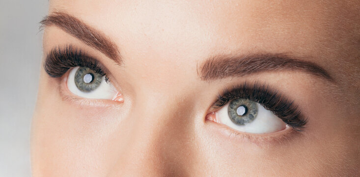 Macro shot of female green eyes with 2d 3d 4d volume long false lashes. Young woman with perfect eyes cat shape and beautiful black and brown eyelash extensions. Closeup beauty photo of lash extension