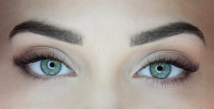 Macro shot of female green eyes with 2d 3d 4d volume long false lashes. Young woman with perfect eyes cat shape and beautiful black and brown eyelash extensions. Closeup beauty photo of lash extension
