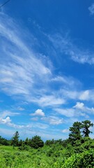 Obraz premium the blue sky, a white cloud, Scenery