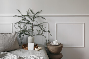 Elegant Christmas still life. Blank greeting card, invitation mockup. Sofa, linen cushions and blanket. Larch tree branches in vase, little white pumpkins and cup of coffee. White wall background.