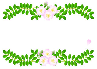 Fototapeta premium wild rose decorative border frame