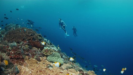 Freedivers swim underwater over the healthy coral reef with school of fish on the island of Nusa Penida, Bali, Indonesia. The dive site is named Toya Pakeh wall