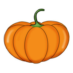 pumpkin isolated on white background
