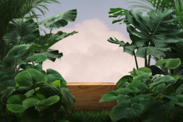 Surreal wood podium with tropical forest plant blurred cloud blue sky nature background.Organic product present natural placement pedestal minimal display,spring and summer paradise dreamy concept.