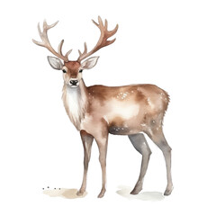 Christmas card with cute watercolor reindeer. Merry Christmas transparent background, PNG, Generative AI