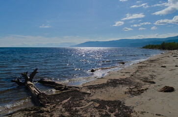 Fototapeta na wymiar Shining lake shoreline at nice warm summer day