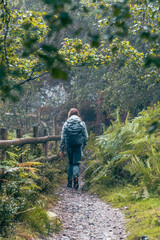A young girl walking alone in the forest path and enjoy the rain.