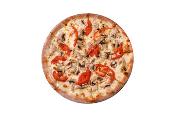 Delicious pizza with chicken, tomatoes and cheese with salt and sauce