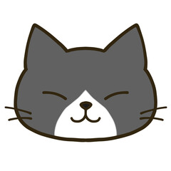 シンプルな線目のハチワレ黒猫