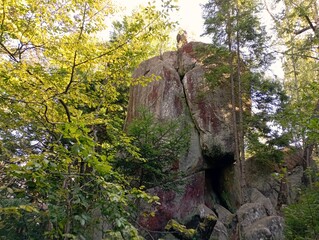 A rock in the middle of the forest. A high rock with vertical slopes. Mountains in the forest.