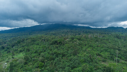Aerial view of the green and beautiful tropical forest in Aceh province, Indonesia