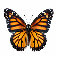 Naklejka premium Monarch butterfly. generative ai. butterfly on an isolated white background.