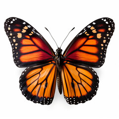 Monarch butterfly. generative ai. butterfly on an isolated white background.