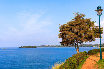 A tree and a green cast iron lantern stand on the sea promenade in the Croatian town of Rovinj on a sunny day with blue sky