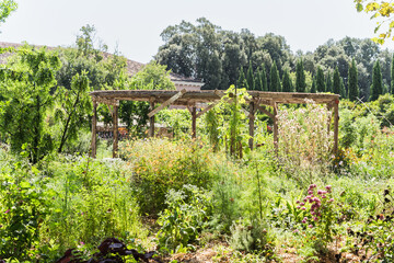 Fototapeta na wymiar landscape of a vegetable garden
