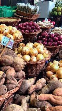 Vertical Video. Stories Format: Colorful Fruit market in Funchal, Madeira