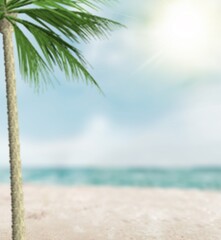 Tropical island beach, palm tree and sea